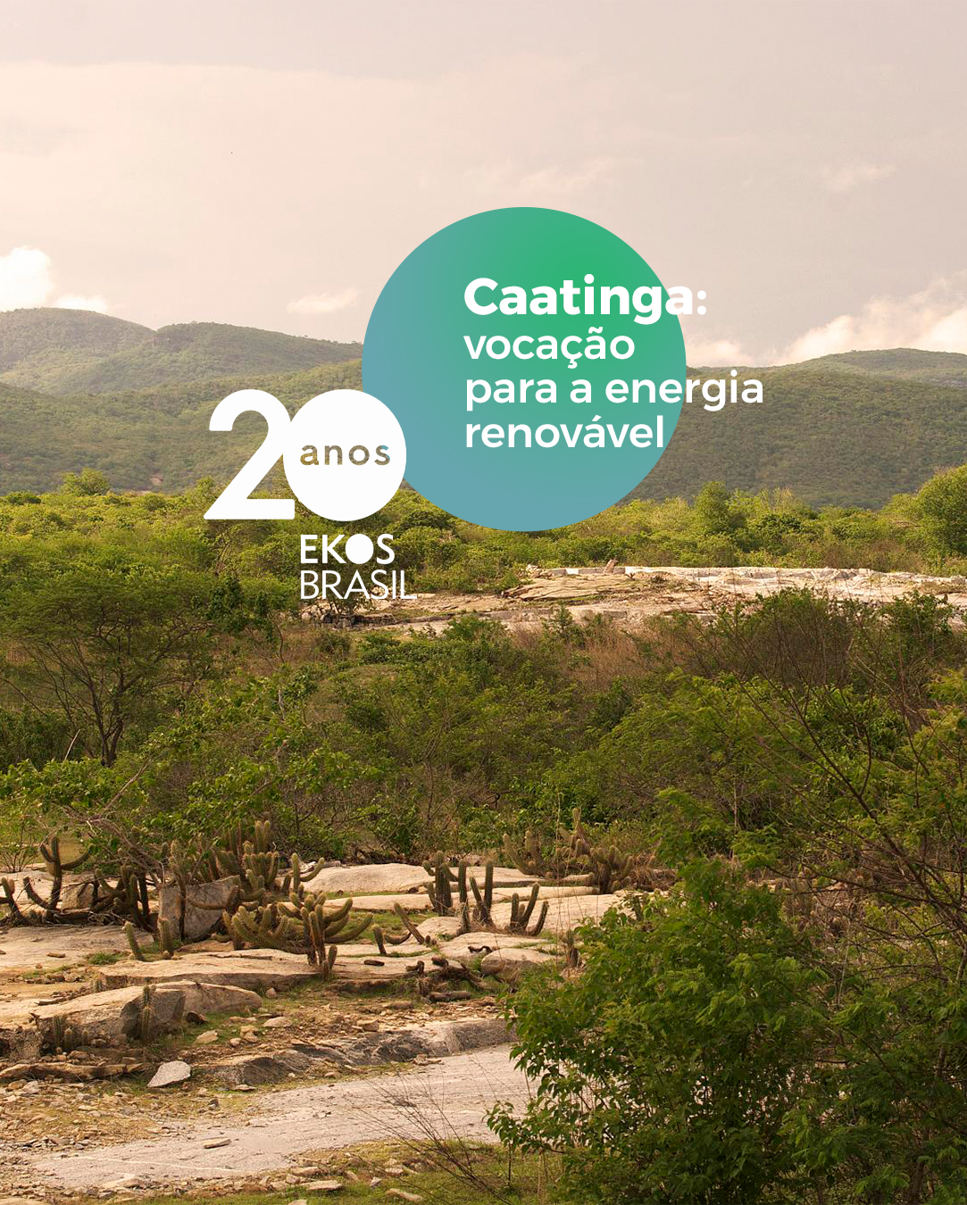 caatinga