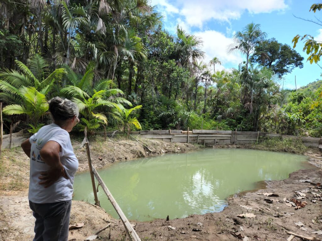 REDD+ Amazônia