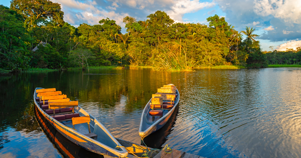 O que significa regenerar o ecossistema?