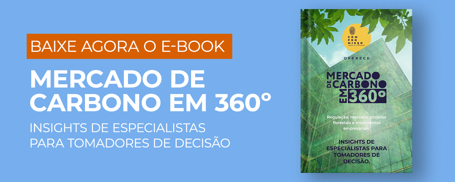mercado carbono 360