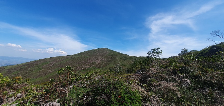 Projeto Campestres do Rio Doce desenvolve estudos para conservação de espécies ameaçadas de extinção da Bacia do Rio Doce