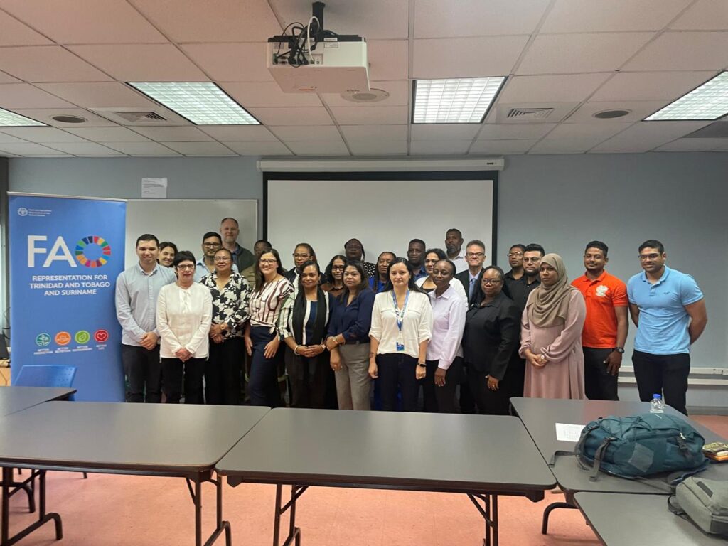 Ekos Brasil e NICOLE Latin America participam de evento da FAO em Trinidad e Tobago sobre poluição do solo em plantações de cacau