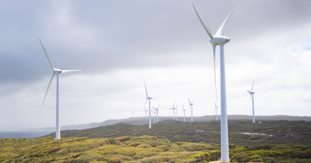 Como o mercado regulado de carbono pode acelerar Gestão Climática e ESG na sua empresa?  