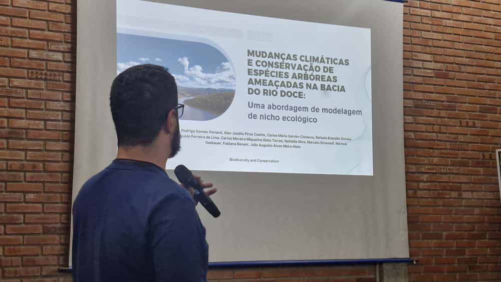 árvores do rio doce