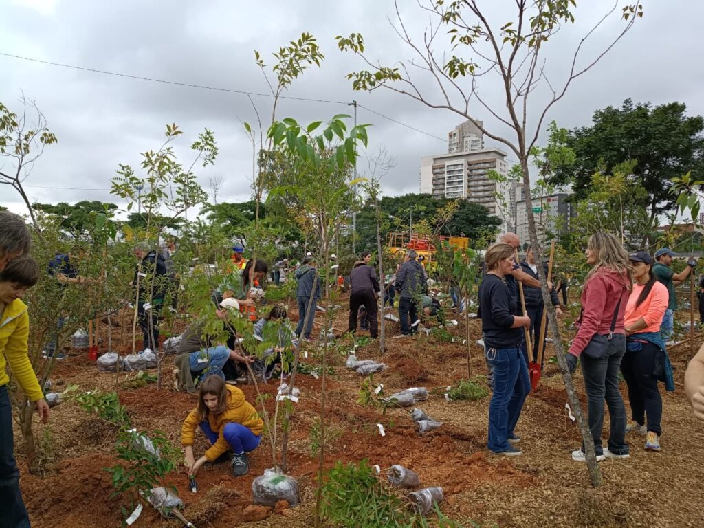 Floresta de Bolso. Foto: Marina Caetano.